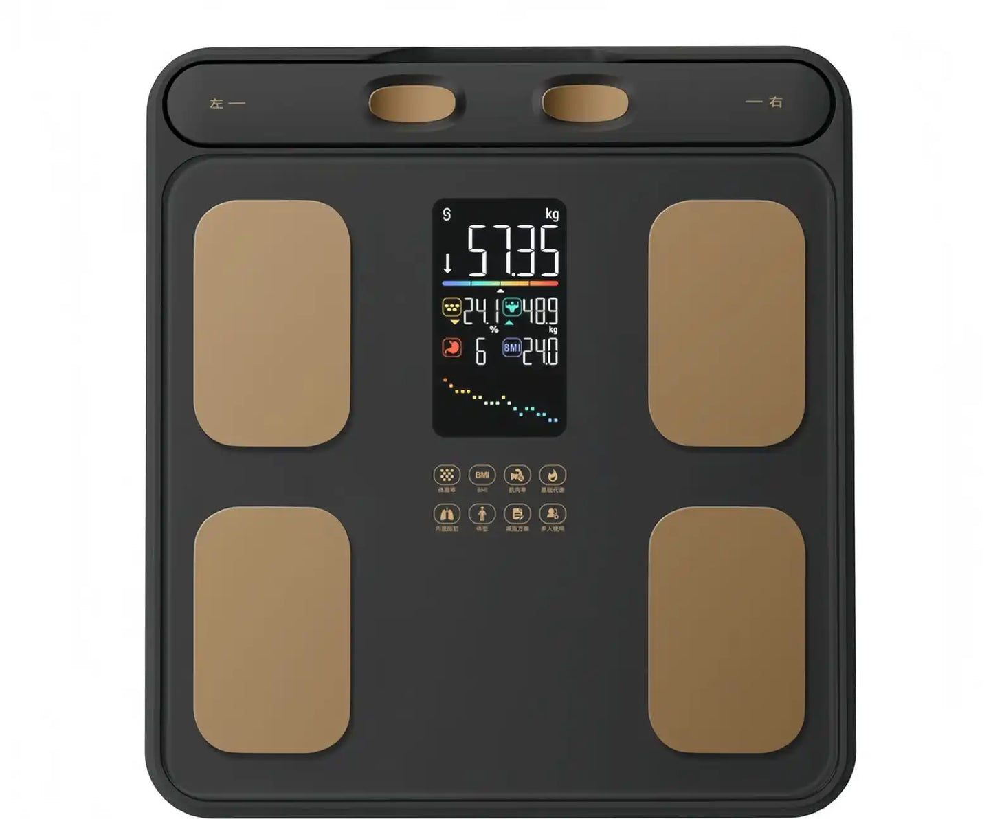 P6 Smart Scale Black