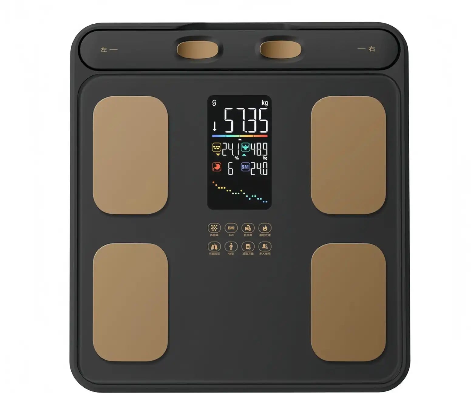 P6 Smart Scale Black